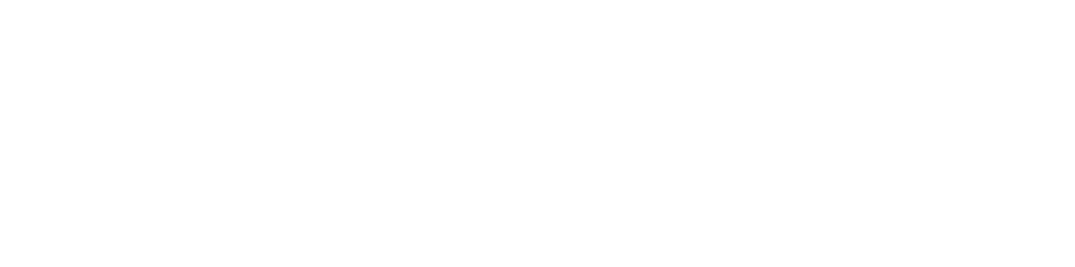 Sapiens Educação Executiva